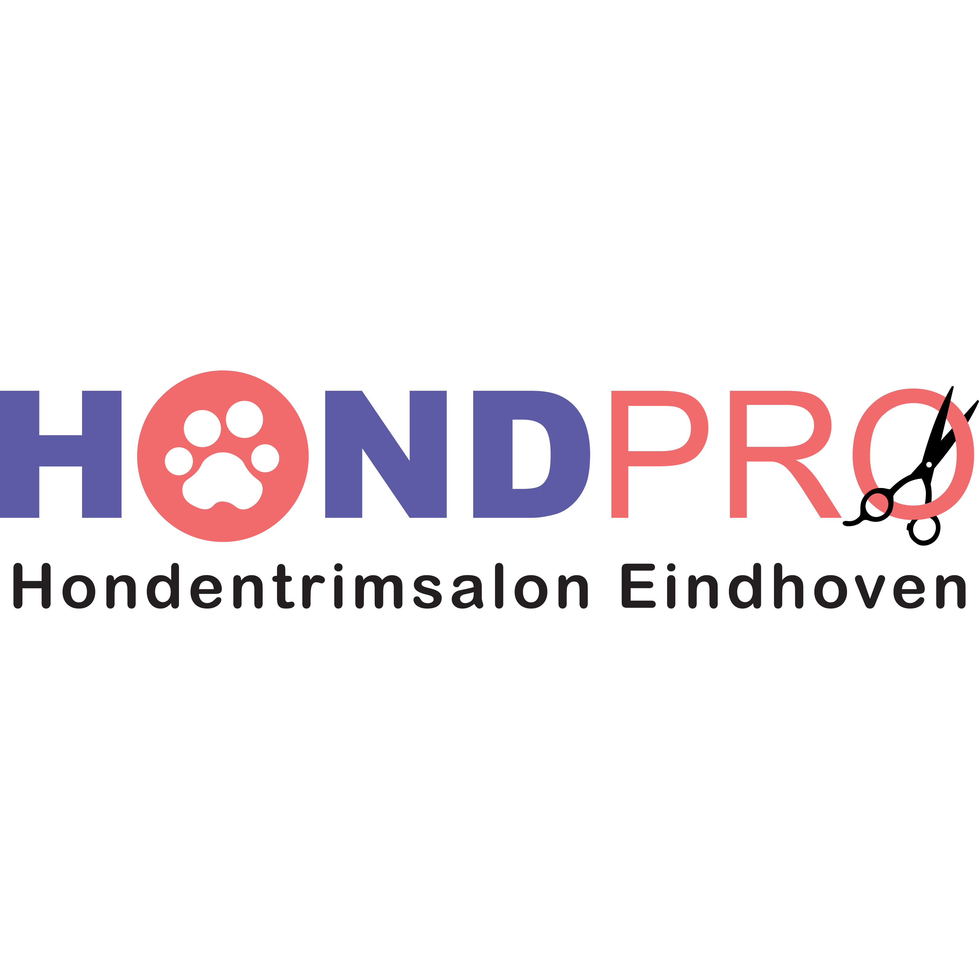 HondPro Logo